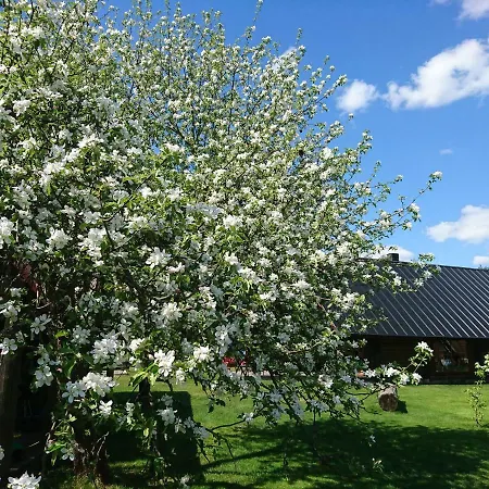 Marknatalu Puhkemajad Chalet