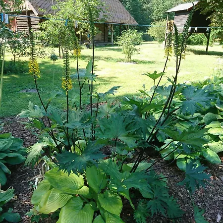 Chalet Marknatalu Puhkemajad Parnu