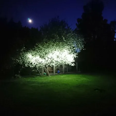 Marknatalu Puhkemajad בקתה פארנו