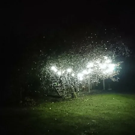 Marknatalu Puhkemajad Domek alpejski *