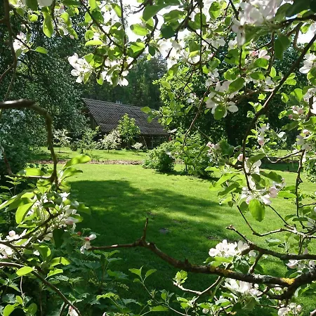 Marknatalu Puhkemajad