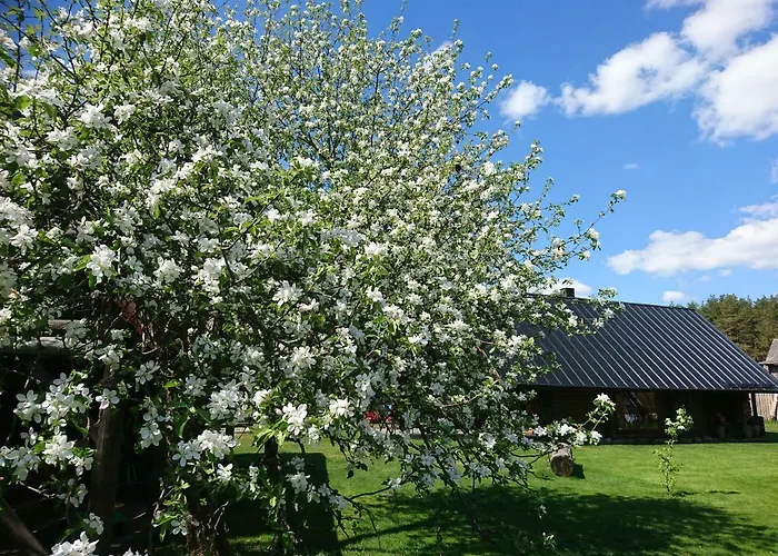 Marknatalu Puhkemajad Chalet