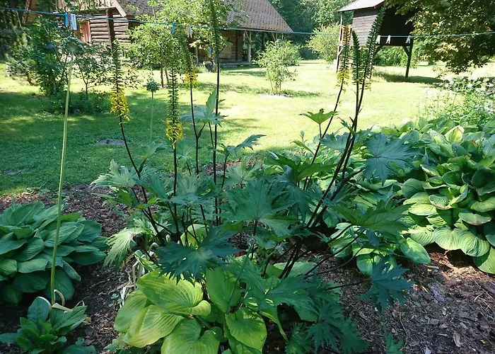 Chalet Marknatalu Puhkemajad Parnu