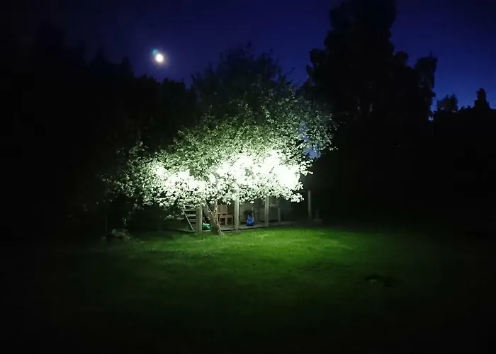 Marknatalu Puhkemajad Chalet Parnu