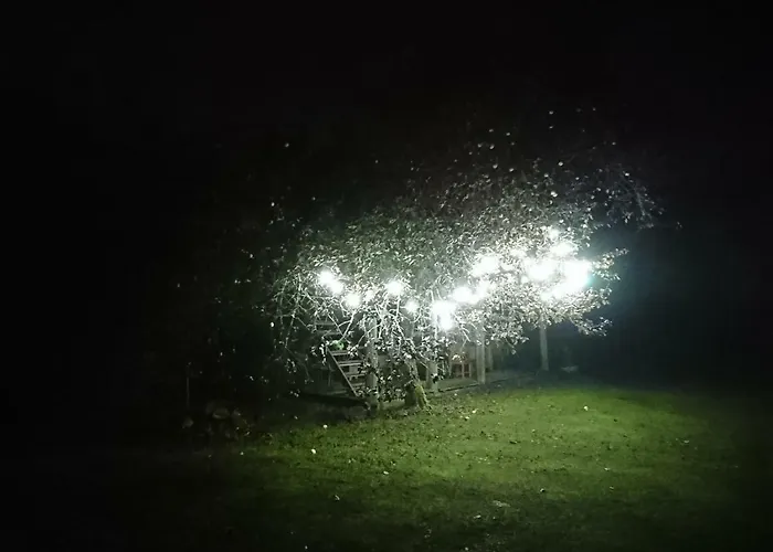 Marknatalu Puhkemajad Chalet *