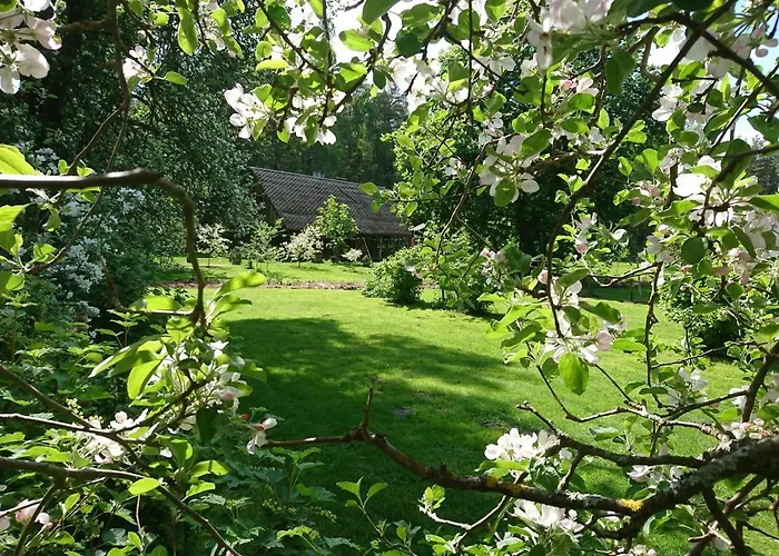 Marknatalu Puhkemajad